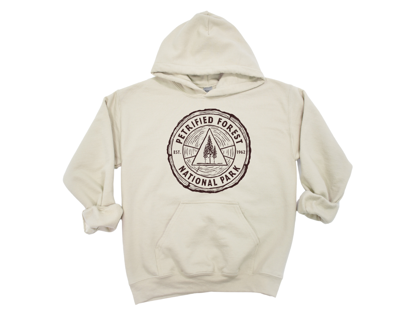 Petrified Forest National Park Unisex Hoodie
