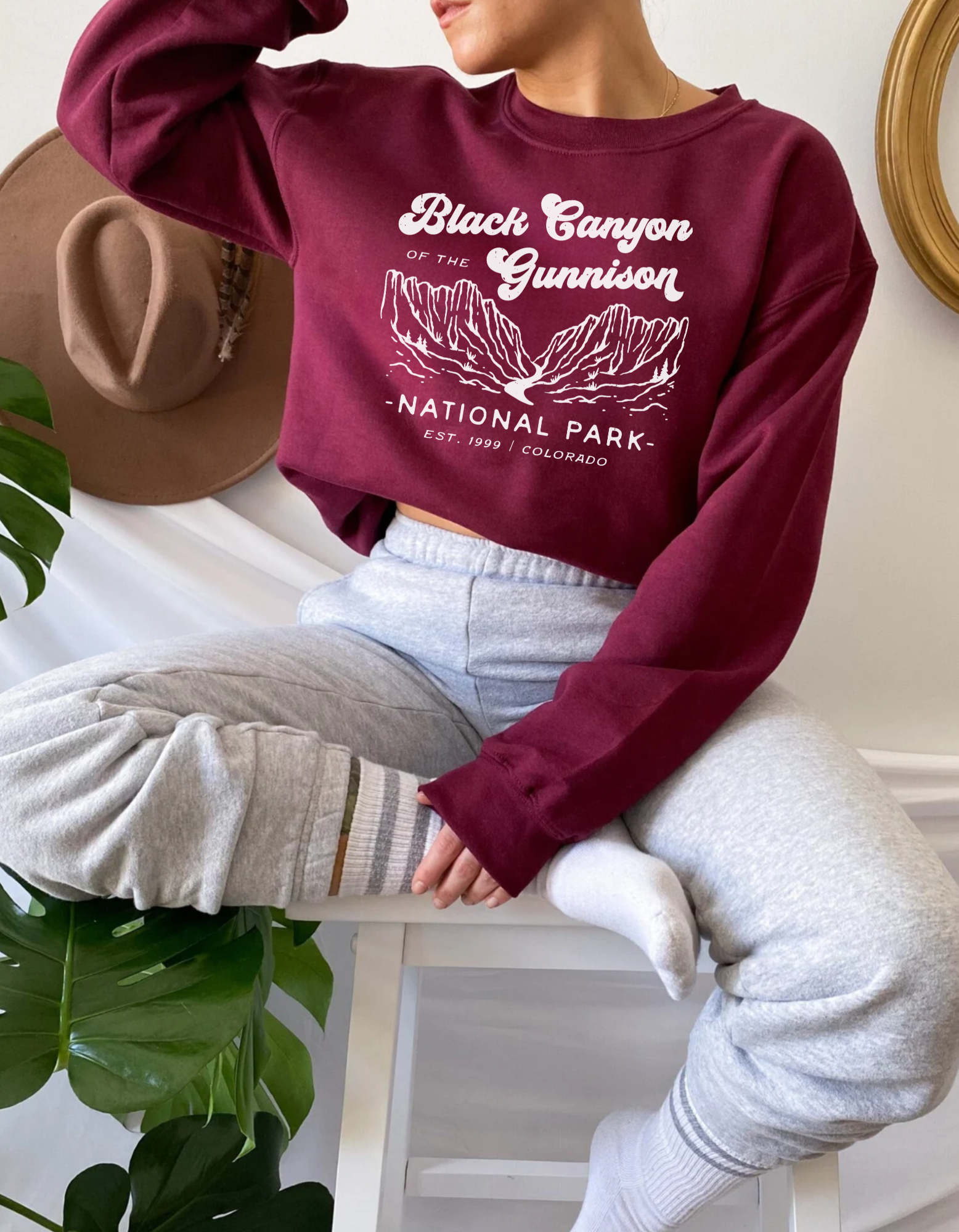 Black Canyon Of The Gunnison National Park Unisex Sweatshirt